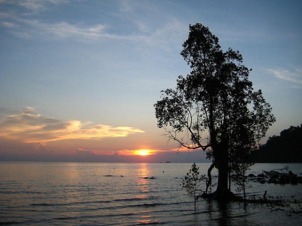 canh chieu dao tioman  malaysia